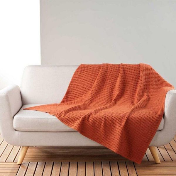 Les meilleures critiques de 🛒 Paris Prix Plaid Nid D’Abeille Uni Gaufrette 125x150cm Terracotta 👍 1