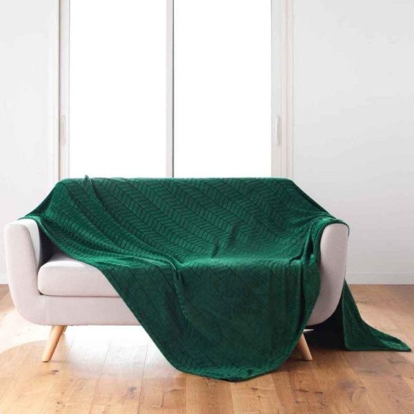 Promo ⌛ Paris Prix Plaid Flanelle Uni Arya 180x220cm Vert 🎉 1